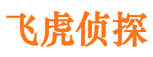 泸溪私家调查公司